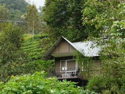Villa Moselberg Riverside Cottages