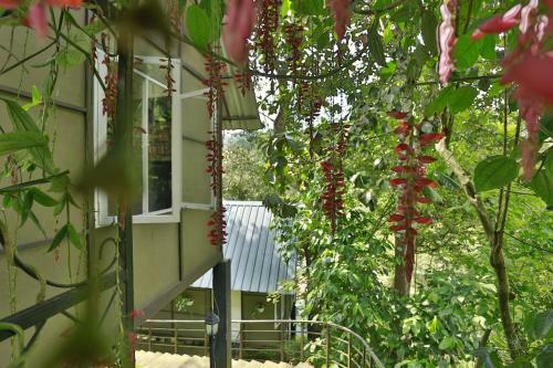 Villa Moselberg Riverside Cottages