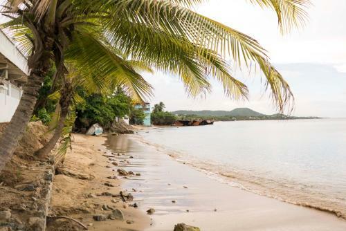 Check-in Vieques Hotel