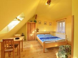 Bed & Breakfast Penzion Svet