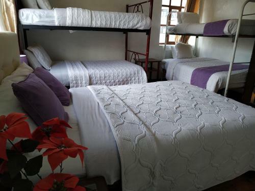 Aleida's Hostal
