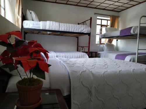 Aleida's Hostal