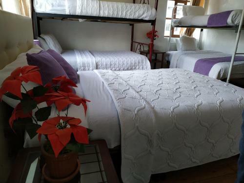 Aleida's Hostal