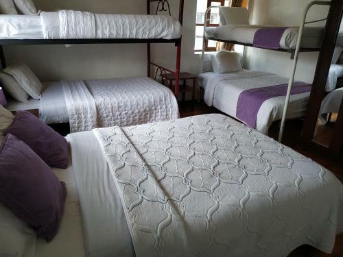Aleida's Hostal