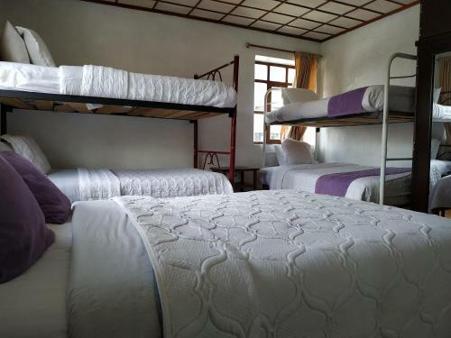 Aleida's Hostal