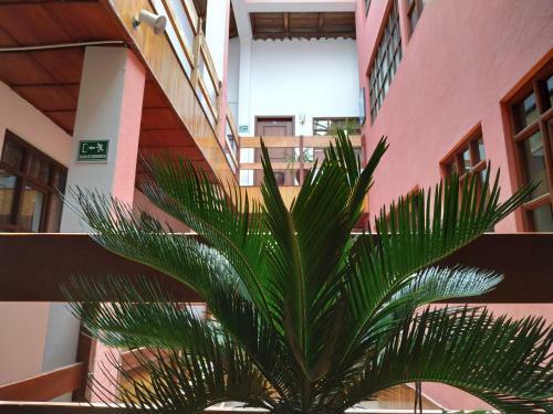 Aleida's Hostal