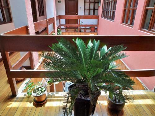 Aleida's Hostal