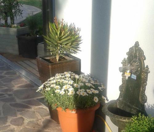 Ferienhaus Barbara Boeck