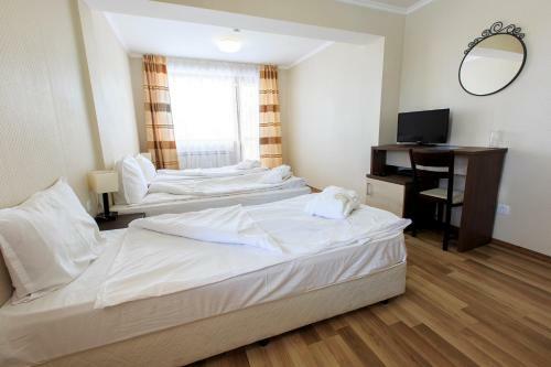 Hotel Nikol