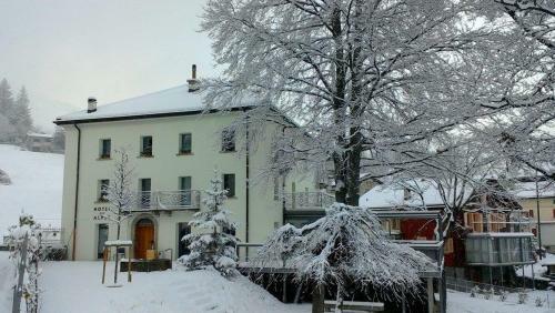 Hotel Des Alpes