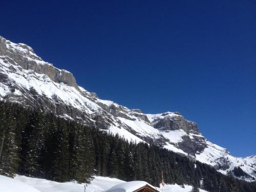 Apartamento Appartment Chalet Sonnenheim