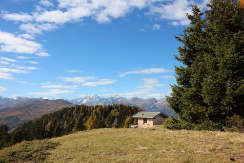 Apartamento Ferienwohnung Plattner