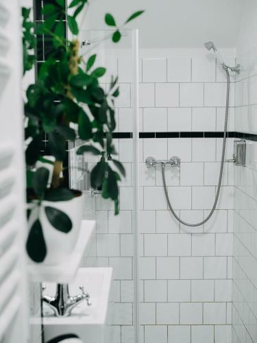 Apartamentos Vila Na Landeku