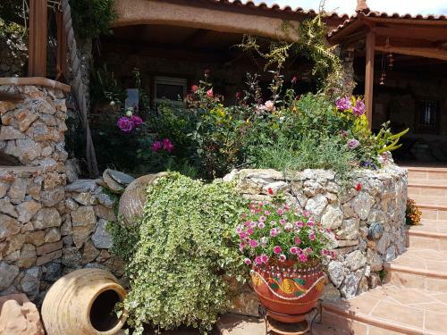 Nadia's Traditional Greek House