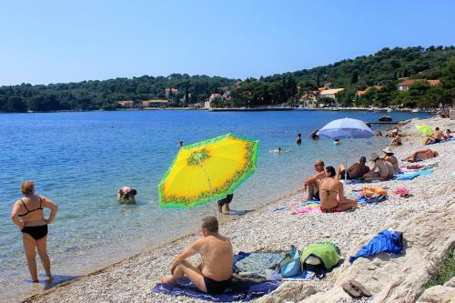 Hostal Studio Zaton Veliki 2107b