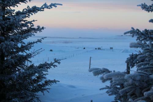 Skei�vellir Villa