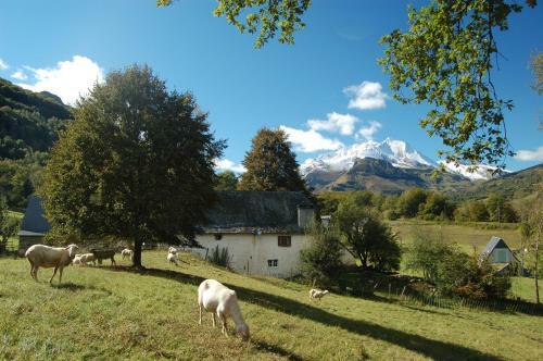 Les Terres N�res
