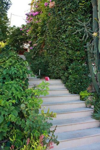 Hostal Studio Brela 2752e
