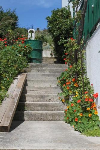 Hostal Triple Room Milna 555c