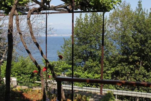 Hostal Double Room Medveja 7775e