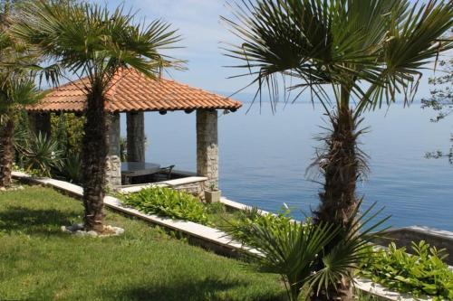Apartment Medveja 7722a