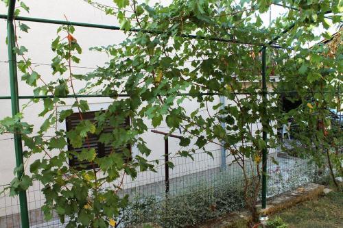 Hostal Studio Novigrad 2536b