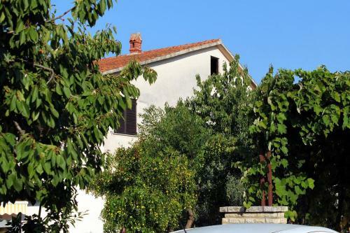 Hostal Studio Novigrad 2536b