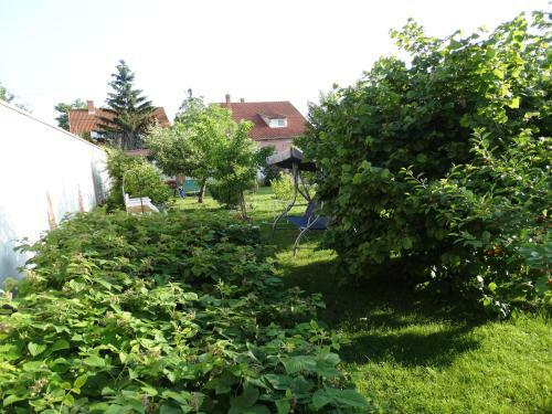 Bed & Breakfast Budai Vend�gh�z Panzi�
