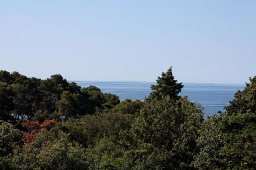 Apartment Suha Punta 5050b