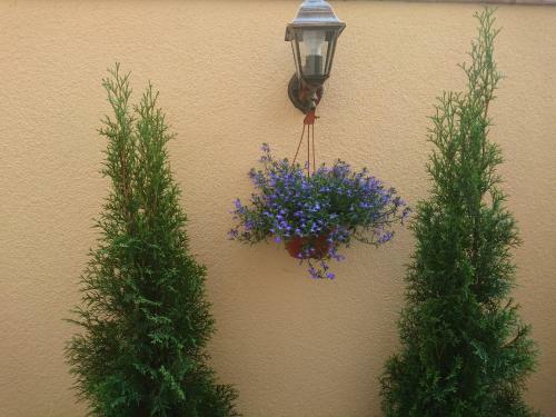 Apartments In The Heart Of Vilnius