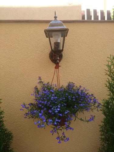 Apartments In The Heart Of Vilnius