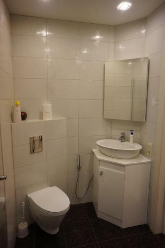 Apartments In The Heart Of Vilnius