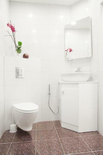 Apartments In The Heart Of Vilnius