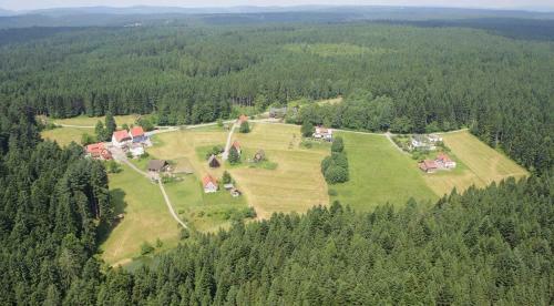 Hostal Gasthof Steinwald
