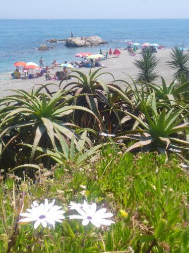 Leopoldo Apartamento 1