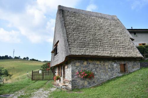 B&B Tulipano