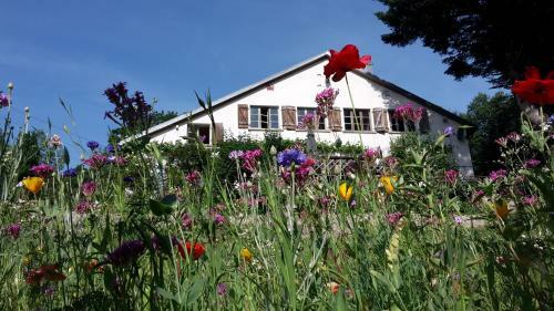 Bed & Breakfast Chambre&table D'hotes Ptitmonde