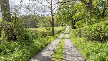 Bed & Breakfast Cwmllechwedd Fawr Cyf