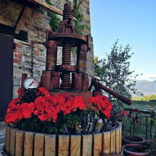Agroturismo Villamagna Palazzo
