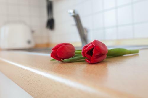 Apartamento Appartementhaus Victoria