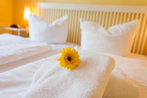 Apartamento Appartementhaus Victoria