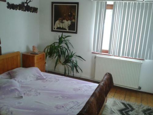 Hostal Perla Maramuresului