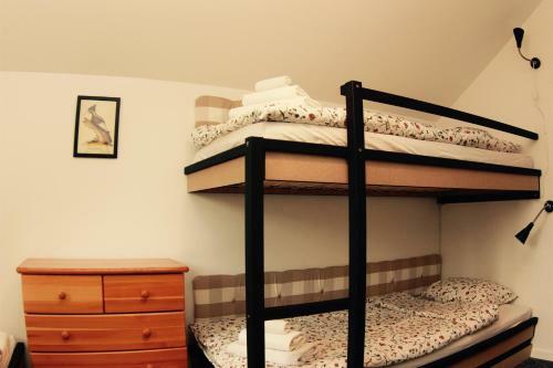Hostal Bird House Apartment