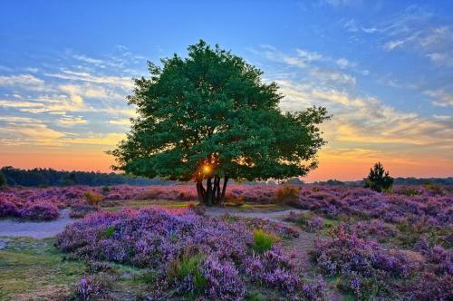 B & B Het Groene Hart
