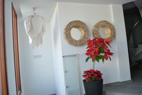 Apartamentos Telde Gran Canaria