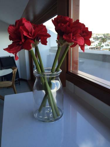Apartamentos Telde Gran Canaria