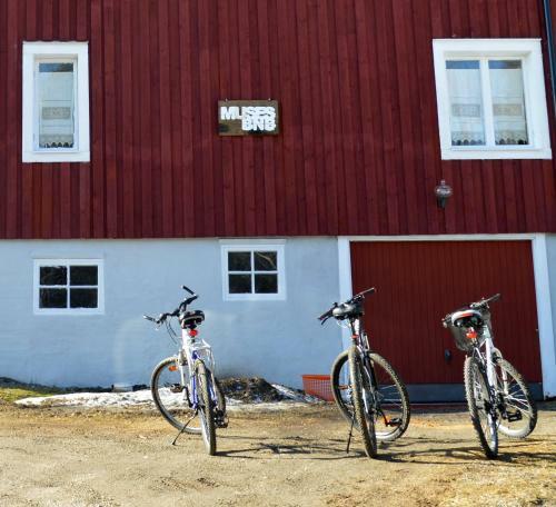 Bed & Breakfast Muses Bnb