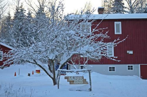 Bed & Breakfast Muses Bnb
