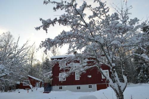 Bed & Breakfast Muses Bnb