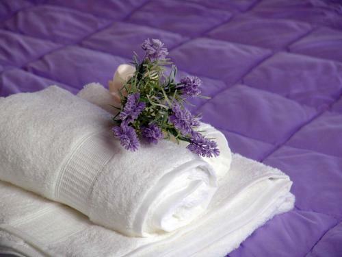 B&B Cascina Campagnola
